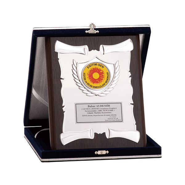 Mavi Kutulu Ahşap Plaket AŞP 13